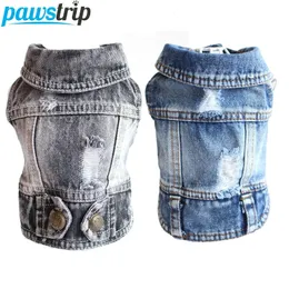 Thin Pet Dog Coat Cool Dog Jeans Jeang для маленьких собак модные щенки аксессуары для одежды 240411