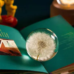 Dekoracyjne figurki żywica Unikalna kryształowa kulka z kwiatem dodaje elegancji do przestrzeni łatwo przenośne Dreamball Ball Mniszek 6 cm