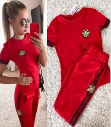 The New Summer Fashion Women Two Pieces Two Clothing Stirts and Pants Disual Tracksuits Fitness Sports Suit2669396