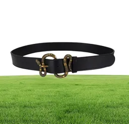 Hot selling new Mens womens snake blk belt Genuine leather Business belts Pure color belt snake pattern buckle belt for gift 5z7q5750926