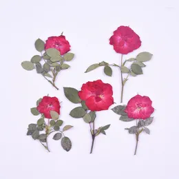 Decorative Flowers 12pcs/5-8cm Nature Pressed Red Roses With Branch DIY Wedding Invitations Craft Bookmark Gift Cards Phone Case Decor