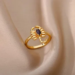 Anelli a cluster Punk Zircon Scorpion Anello per donne Cartoon in acciaio inossidabile Multilisize Strange gioielli di gioielli Regali di Natale Bijoux