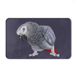 Carpets African Grey Parrots Doormat Rug Carpet Mat Footpad Bath Polyester Anti-slip Balcony Toilet Washable Durable