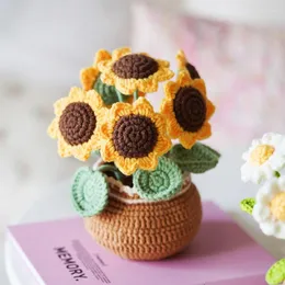 Fiori decorativi Creazione Crochet Materiale Creato Creato intrecciato intrecciato a mano Floro Fatto Ornamenti di piante in vaso grandi per la decorazione per la casa