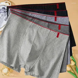 Подставки для мужчин полосы боксеров трусы плюс размер L-4xl Lounge Shorts Boxer Сексуальное нижнее белье мужское нижнее белье под трусиками Wear