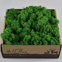 MOSS 1000G per casa Eterna Life Decorazioni da giardino Materiale fiore di matrimonio Materiale naturale Accessori per micro paesaggi 240127