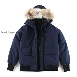 Can Goose Jacke Brand Designer Inverno di lusso inverno Uomini spessi Down Down Gacche