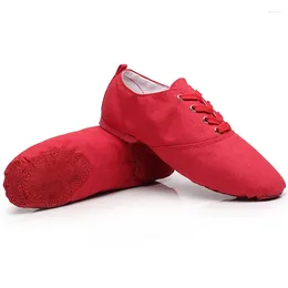 Tanzschuhe Jazz Frau Low Fitness Ballet Girl Canvas Kungfu Frauen Erwachsener oberer weicher Boden