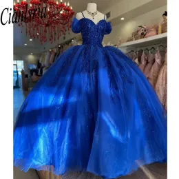 Quinceanera Dress Ball Kleid dunkle königliche blaue Tulle Langarm Luxus Quinceanera Kleid Applique Girl's Sweet 16 Kleid