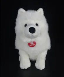 28 cm lebensechter Samoyed Stuffed Toys süße Simulation weißer Hund Welpe Plüsch Tiere Spielzeug Geburtstag Weihnachtsgeschenke Y2007231375860