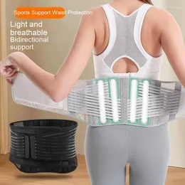 Waist Support Low Back Pain Relief Belt Adiustable LumbarBrace Scoliosis Fitness Weight LiftingSquatting Hard Pulling Abdominal Muscle