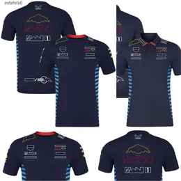 2024 F1 Takım Yarışı T-Shirt Formül 1 Sürücü Erkek Polo Gömlek Tişörtleri Motor Sporları Yeni Sezon Giyim Hayranları Üstü Jersey Plus 0R8Z