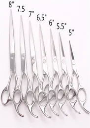 C1006 5Quot 55quot 6quot 65quot 7quot 75quot 8quot Japan Stahlhaarspeicher Schneidschere Pro Human Hair Scissor6477800