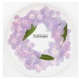 Decorative Flowers N7MD 60 Pcs Natural Hydrangea DIY Dried UV Expoxy Resin Mold Filling Flower