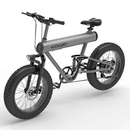 저렴한 공장 가격 3 휠 오토바이 프레임 전기 자전거