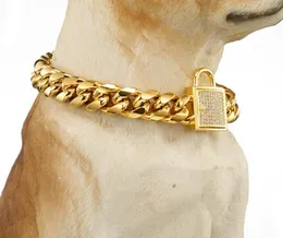 Allmatch Chain Gold Tone Chound Cuban Pet Link из нержавеющей стали CZ Clasp Dog воротник целый питомца 4676175