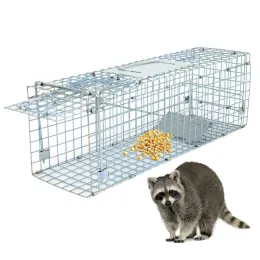 Suprimentos 24 "x 8" x7.5 "Animal Trap Cage Live Rodent Control Skunk Rabbit Opososo Humane