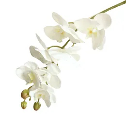 Flores decorativas simuladas phalaenopsis orquídea planta artificial de flores falsas Plastic wedding Party Home Decoration