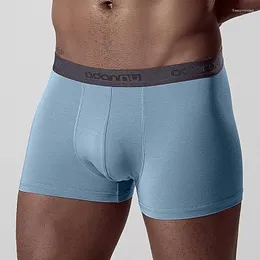 アンダーパンツ2024 Adannu Brand Mens Underwear Boxers Modal for Men Classical Cuecas Boxer Shorts SolidAd306
