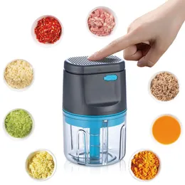 Electric Food Crusher Mini Vitlök Tryck för kök Vegetabilisk chopper för att krossa vitlök ingefära och chilipeppar för enkel måltid