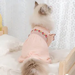 Hundkläder söta kattkläder Fyra ben med håravfall för att få hemkattungar Hemmagesskydd Autumn och vinter