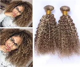 Kinky Curly 8613 Kahverengi Karışık Sarışın Piyano Renk Virgin Malezya İnsan Saç Demetleri 3pcs Highglight Mix Piyano Renkli İnsan Saç W3422470