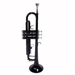 Trompete padrão definido para iniciantes, instrumento de trompete estudantil de metais com luvas