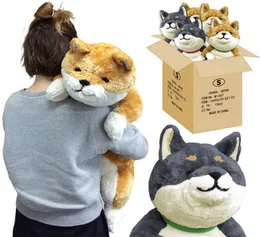 Japão Anime Shiba Inu Pluxh Dog Toy Giant Animals Dog Dol Dog Akita Tiras Pillow Nap for Children 80cm 31inch DY5041444390794