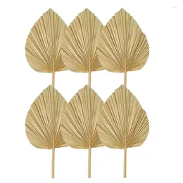 Dekorative Blumen 6pcs getrocknete Palmblätter natürlicher Fans großer Speer für Boho Hochzeitdekor tropische Dekoration langlebig