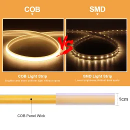 110 V 220 V COB -LED -Streifenleuchten CRI RA90 288LEDS/M Flexible Außenlampe wasserdicht