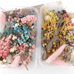 Fiori decorativi 1pc secco floreale naturale artigianato Gioielli in resina che producono un respiro per bambini artificiali all'aperto