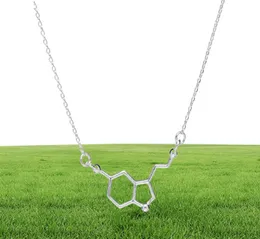1 chemical molecular structure pendant necklace formula 5HT geometric exquisite nurse simple Lucky woman mother men039s family2293406