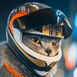 Casco da moto per animali domestici per il casco per moto full -viso per moto per moto per esterni in bicicletta per cuccioli per cani da gatto forniture per animali domestici 240418