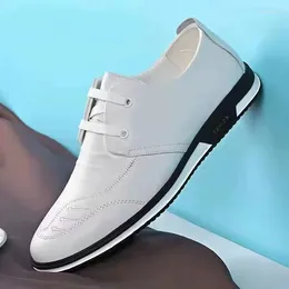 캐주얼 신발 2024 가을 소프트 바닥 남자 화이트 가죽 패션 사업 공식 싱글 스니커즈 자 파토스 파라 홈 브레스