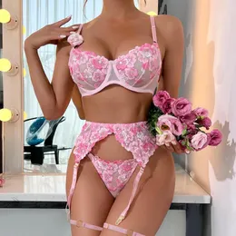 Bras define lingerie erótica Sexy Breves rosa Sensual Rouphe Push Up Bra com Berso Intimado Transparente Transparente Ossos Transparentes