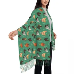 Lenços de lenços de frango com estampa de frango feminino fofo de animais fofos com tassel shawls de moda de inverno e embrulhar Bufanda macia quente Mujer