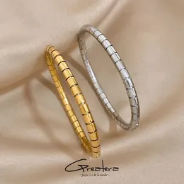 Greatera Creative Edelstahl Schlangenknochen Armbänder für Frauen 18K Gold plattiert Metallarmband Wasserdichtem Schmuck 240323