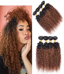 Kinky Curly 1B30 HUND HAIR WEAVE 컬러 Malaysian Brazilian Peruvian Virgin Human Hair Bundles Ombre Auburn 4pcsl5537997