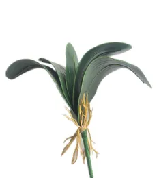 Gerçek dokunmatik orkide yaprağı bitkisi 10pcs Yapay Kelebek Yeşillik Bitkileri Düğün Çiçeği Çiçek Aksesuarları için 5 Yaprak 2463441