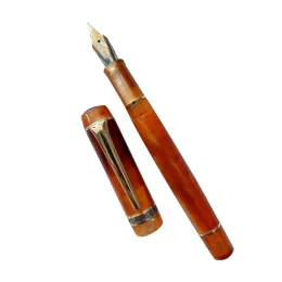 Pennor Elegant Fountain Pen Pen Konsekvent skrivning för män kvinnor, professionell, verkställande, kontor, trevliga pennor