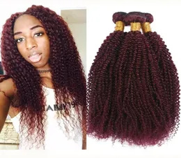 브라질 처녀 인간 머리 99J Afro Kinky 곱슬 머리 씨름 씨름 Burgundy Kinky Curly Wine Red Grade 8A 페루 3 번들 확장 2722602746