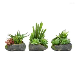 Decorative Flowers Artificial Succulent Plant Arrangements In Faux Pots 3 Piece Set Assorted Sizes Wedding Decoration For Arch