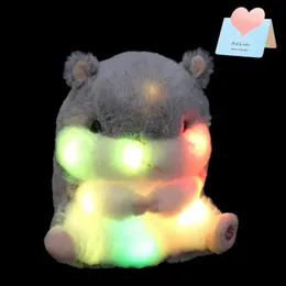 20cm Parlayan Hamster Bebek Oyuncakları LED Işık Up Pet Sıçan Peluş Peluş Oyuncaklar Yumuşak Sevimli Aydınlık Dolgulu Hayvanlar Kızlar İçin Doğum Günü Hediyesi 240419