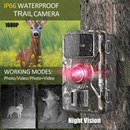 Kameras DL001 Hunting Trail Kamera 16MP 1080p Wildlife Scouting Camera mit 12 -m -Nachtsichtsbewegungssensor IP66 wasserdichte Trailkamera