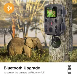 Камеры Live Show Wi -Fi Bluetooth Trail Camera 24MP 1296P управление приложениями Hunting Cameras Wi -Fi301