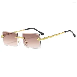 Óculos de olhos ao ar livre, óculos de sol sem aro vintage designer de moda cortados tons de borda de luxo de moldura de leopardo dourado uv400