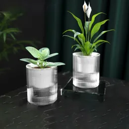 Aquariums Self Watering Flowerpot Indoor Succulent Hydroponic Plants Pot Mini Planter Pots Fish Tank Tabletop Flower Pot Home Bonsai Decor