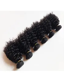 Brazilian Virgin Hair Schuss Short 610inch Kinky Curly Hair Factory Ganzes und Einzelhandel Schöne Europäische indische Remy -Haare erweitert3450968