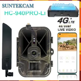 كاميرات HC940Proli 4G Live Video10000MAH Iithium Hunting Hunting Trail Camera 36MP 4K APP Cloud Service مقاومة للماء IP66 Wildlife Cam