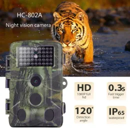 Камеры Suntekcam Hunting Trail Camera 20MP/24MP 1920 Night Vision Водонепроницаемые камеры Photo Trap Driale Huife Surviellance HC802A